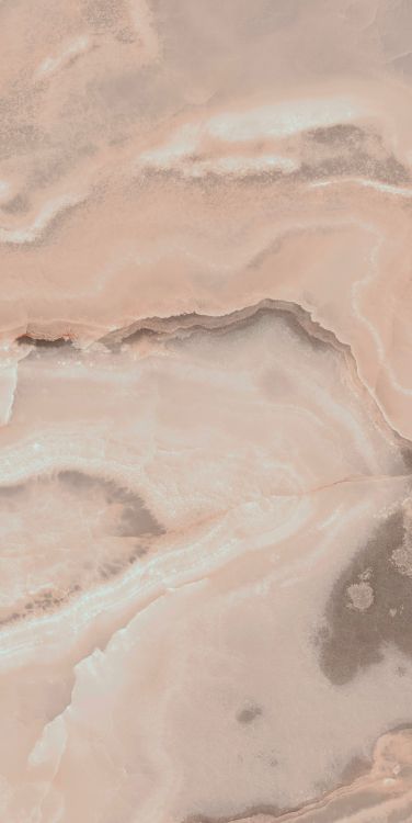 Reves Rose Matte 24 x 48